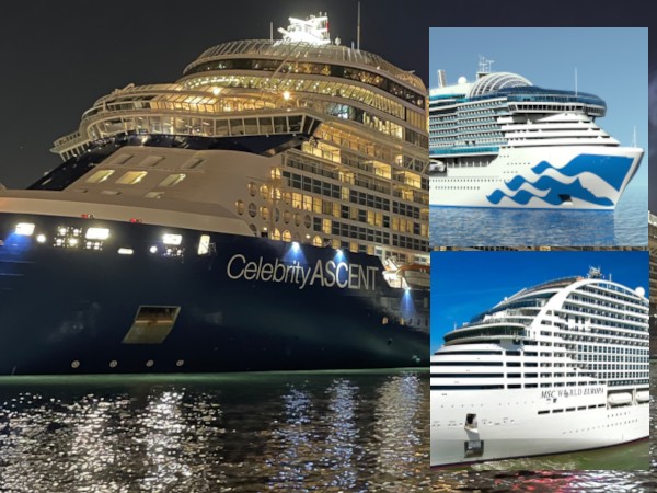 Mega Mediterranean Cruise Sun Princess MSc World Europa Celebrity Ascent